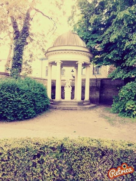 2014 YURT DIŞI