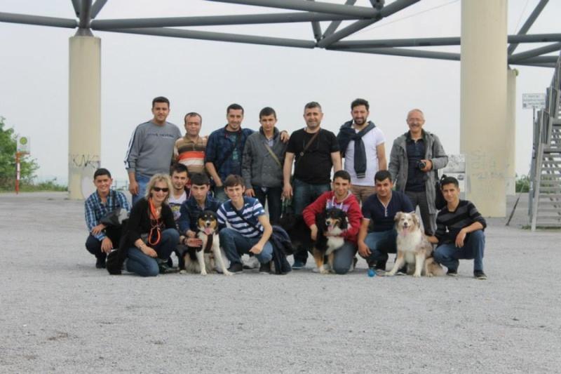 2014 YURT DIŞI
